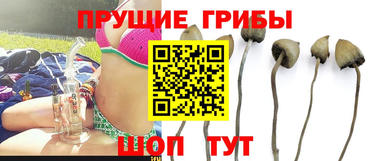 Галлюциногенные грибы мицелий  Вход с VPN  Галлюциногенные грибы ЛСД  Магадан 