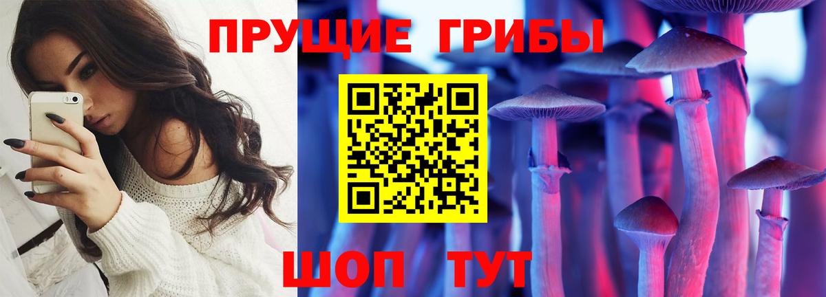 Псилоцибиновые грибы Magic Shrooms Магадан